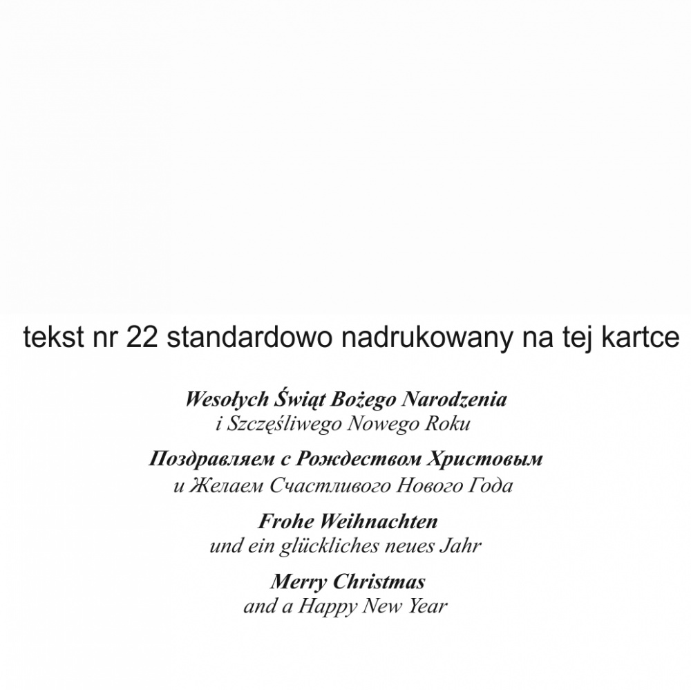 Kartka świąteczna B 371