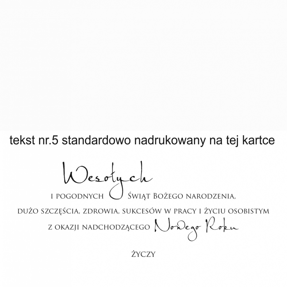 tekst nr 5